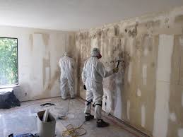 Why You Should Choose Our Mold Remediation Services in Colchester, IL